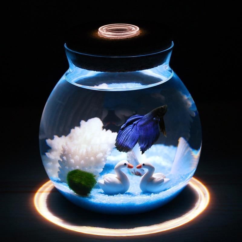 Akwarium Mini Betta Z Małymi Światłami