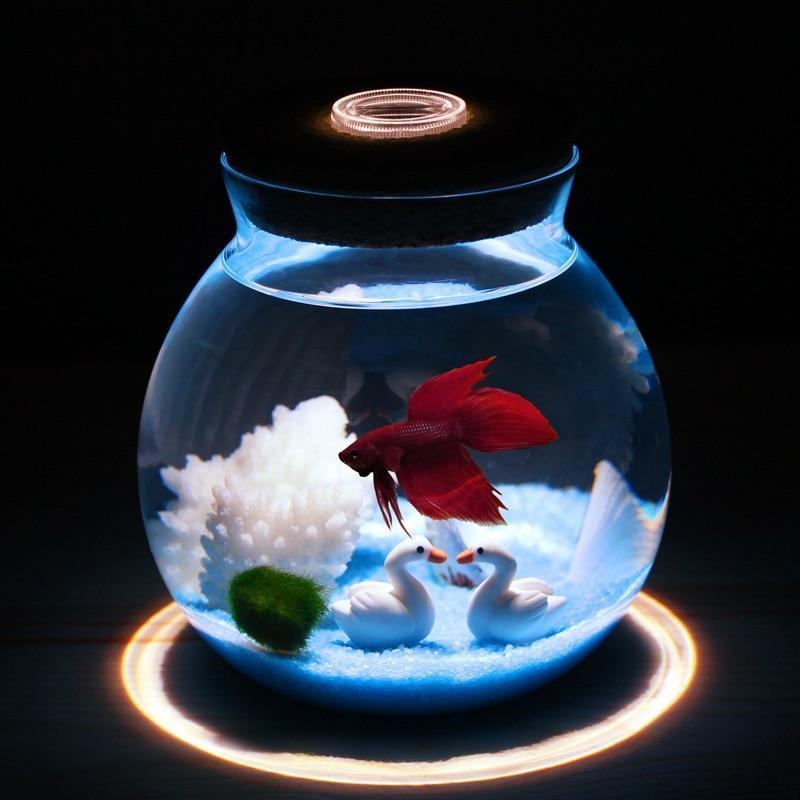 Akwarium Mini Betta Z Małymi Światłami