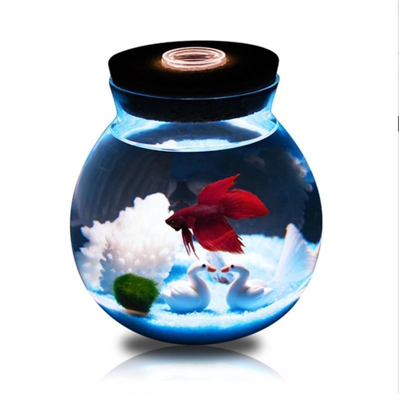 Akwarium Mini Betta Z Małymi Światłami