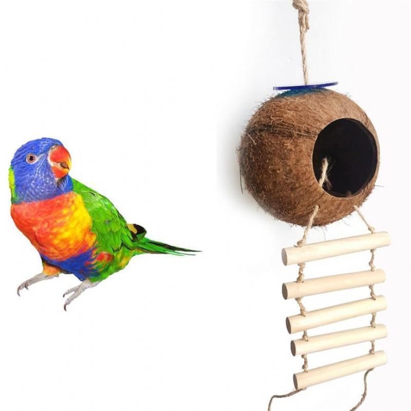 Naturalny Domek Dla Ptaków Z Łupin Orzecha Kokosowego