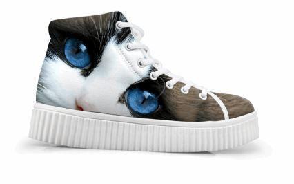 Śliczne Niebieskie Oczy Kot Z Grubym Spodem Płaskie Buty Na Co Dzień