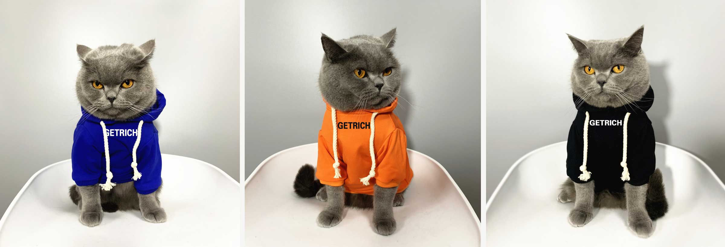 ubrania - odzież dla kotów
